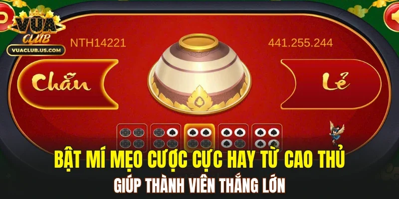 Bật mí mẹo cược cực hay từ cao thủ giúp thành viên thắng lớn